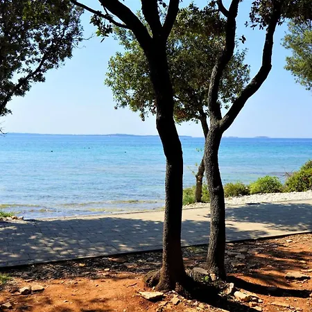 Lisicak A4 Appartamento