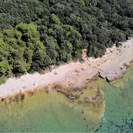 Lisičak A4