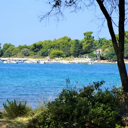 Lisičak A4 *