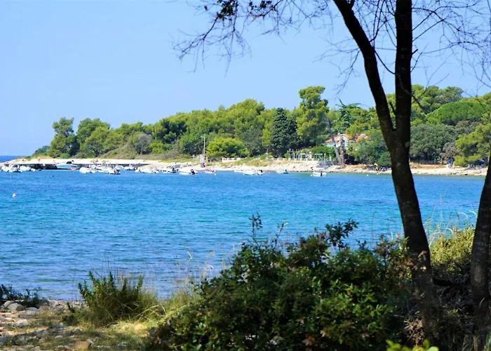 Lisicak A4 *
