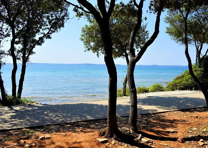 Lisicak A4 Lejlighed