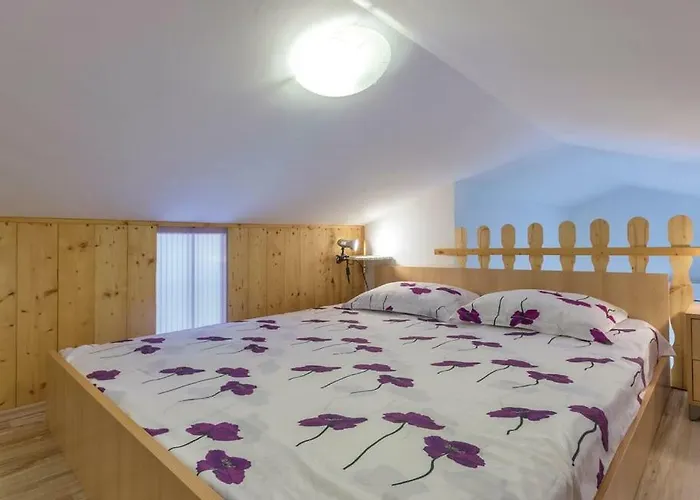 Lisicak A4 보드냔